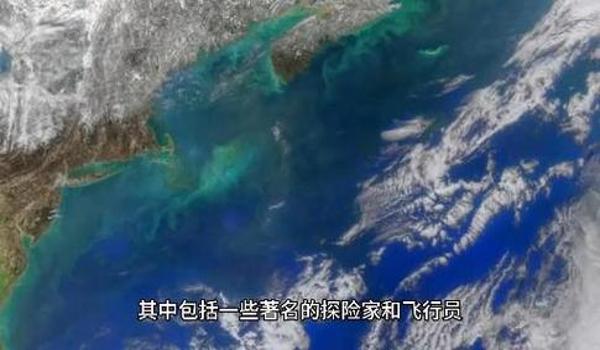 三角洲封ip是怎样的(三角洲封ip的具体例子有吗?”) 三角洲封ip是怎样的(三角洲封ip的具体例子有吗?”)